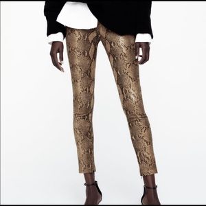 ZARA XS Animal Print Coated Leggings (Snakeskin)